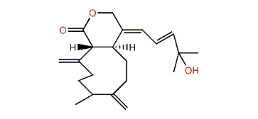 Xeniolide G